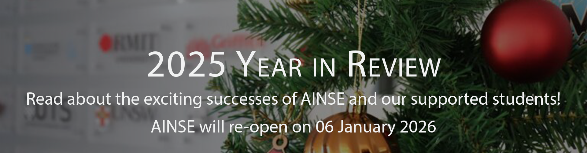 2025 Year in Review FINAL